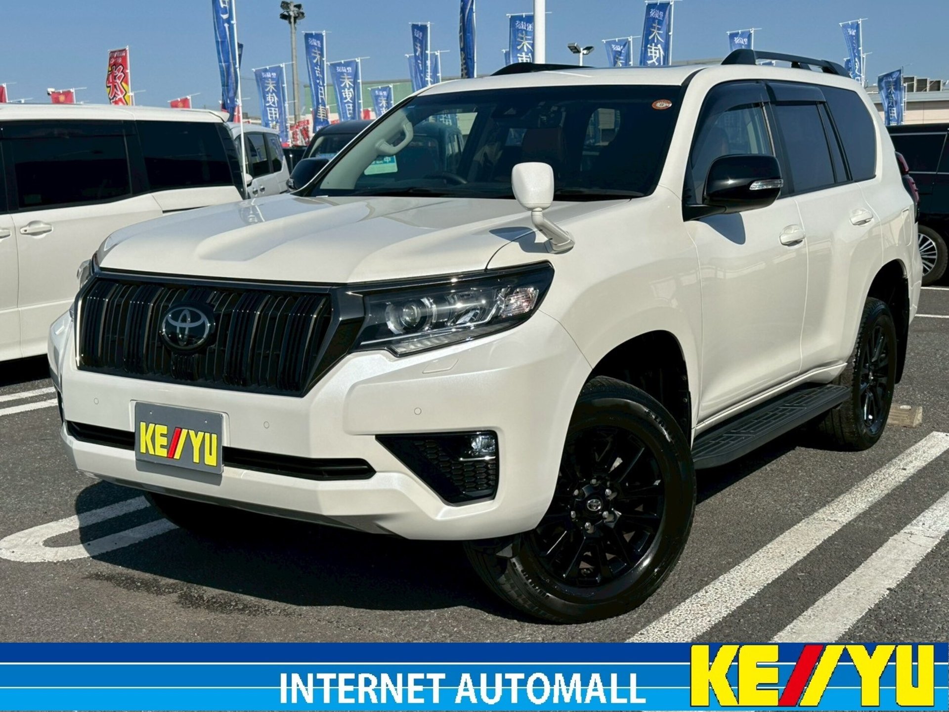 TOYOTA LAND CRUISER PRADO - View 1