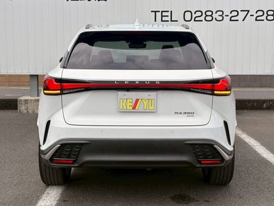 2023 Lexus RX 缩略图 12