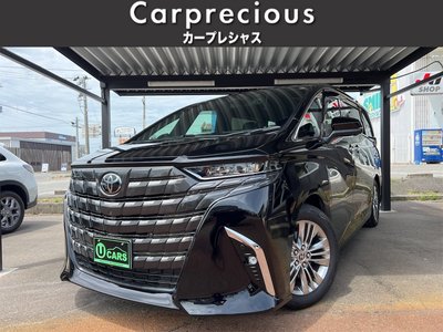 2024 TOYOTA ALPHARD 照片 1