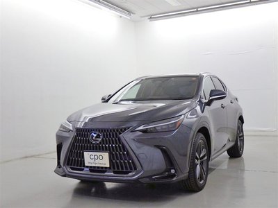 LEXUS NX - 1