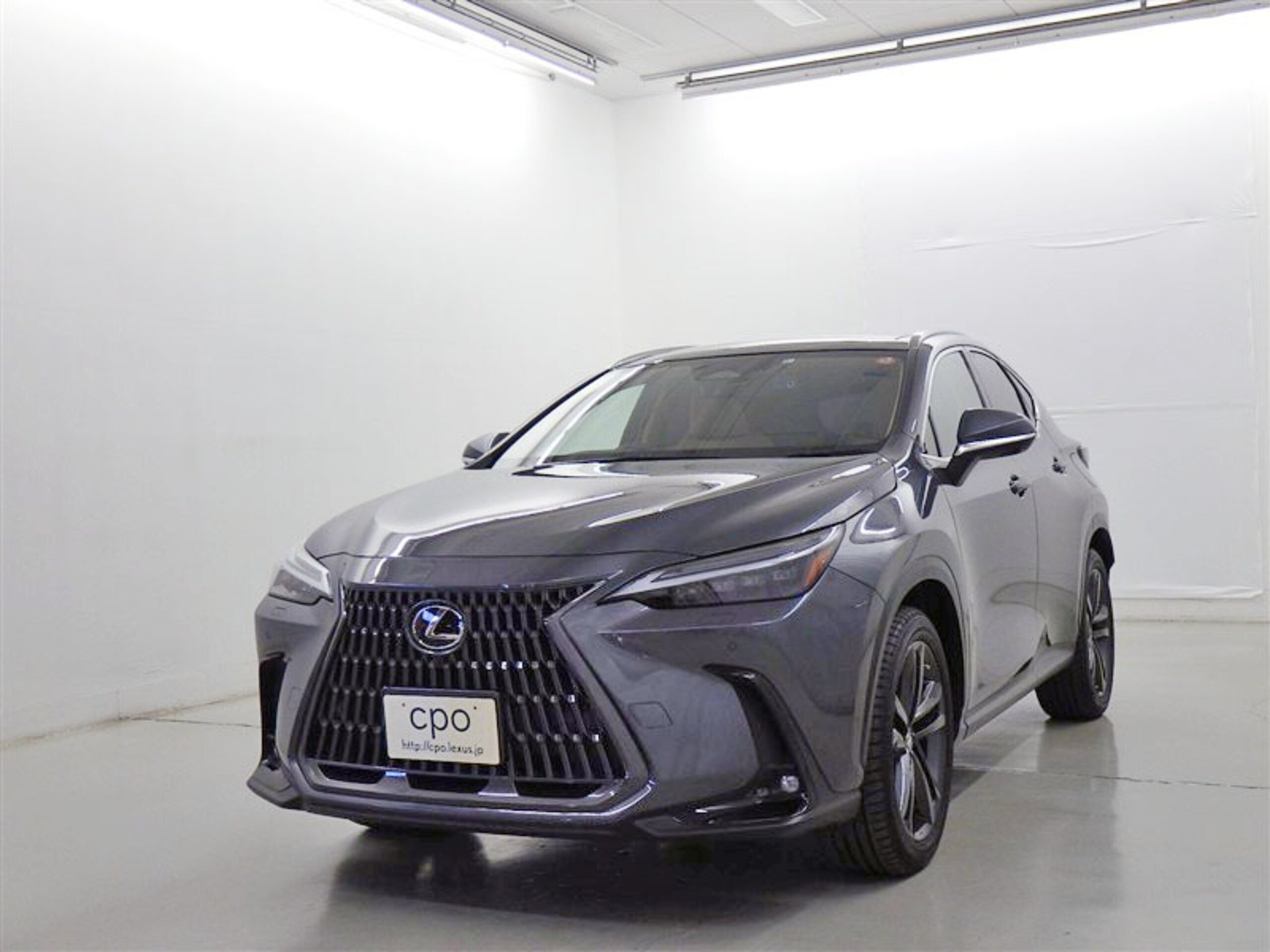 LEXUS NX - View 1