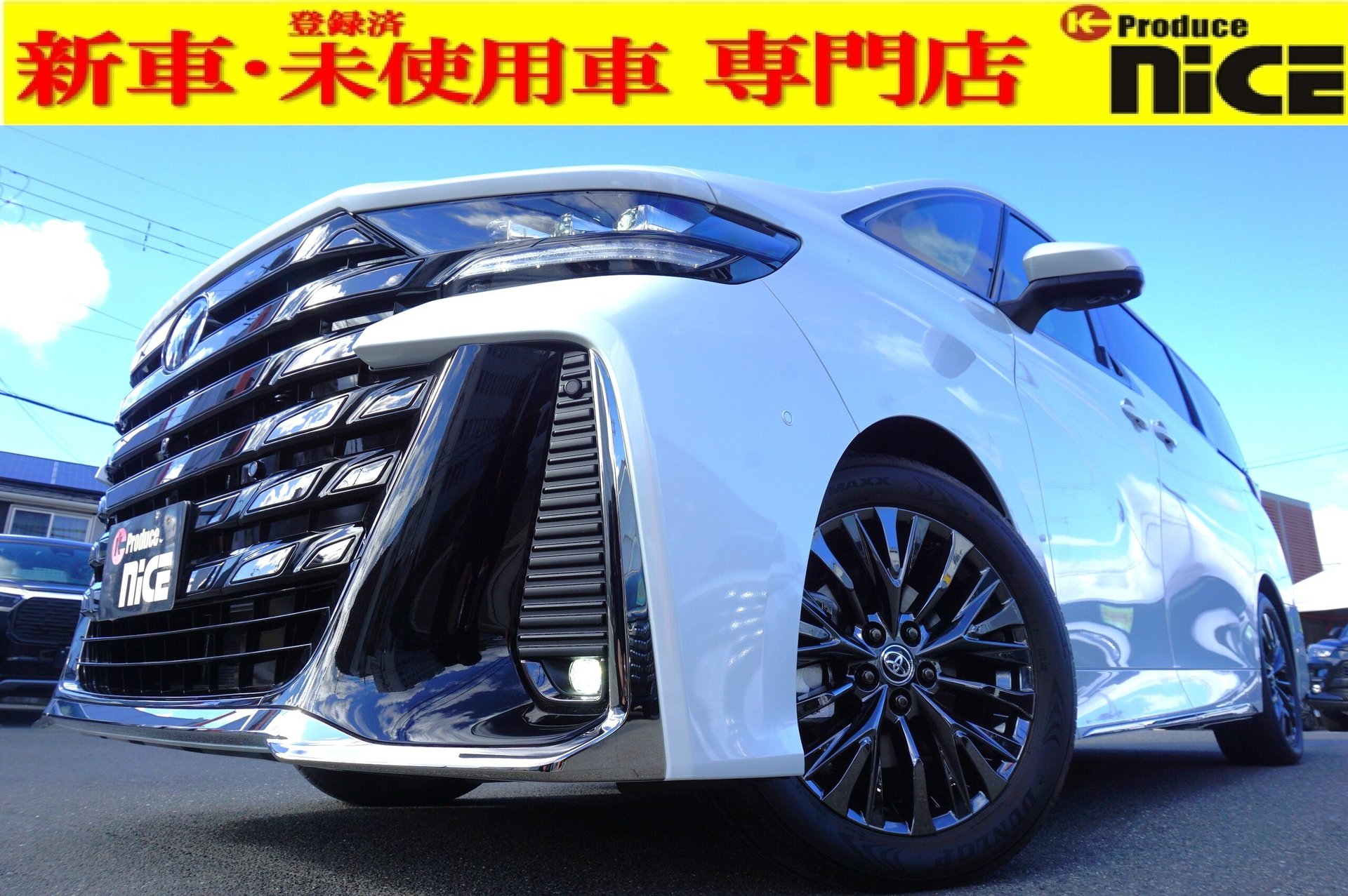 TOYOTA VELLFIRE - View 1