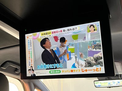 2024 Toyota ALPHARD photo 7