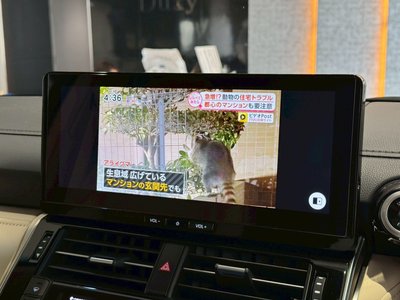 2025 Toyota LAND CRUISER 300 缩略图 43