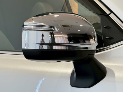 2025 Toyota LAND CRUISER 300 缩略图 15