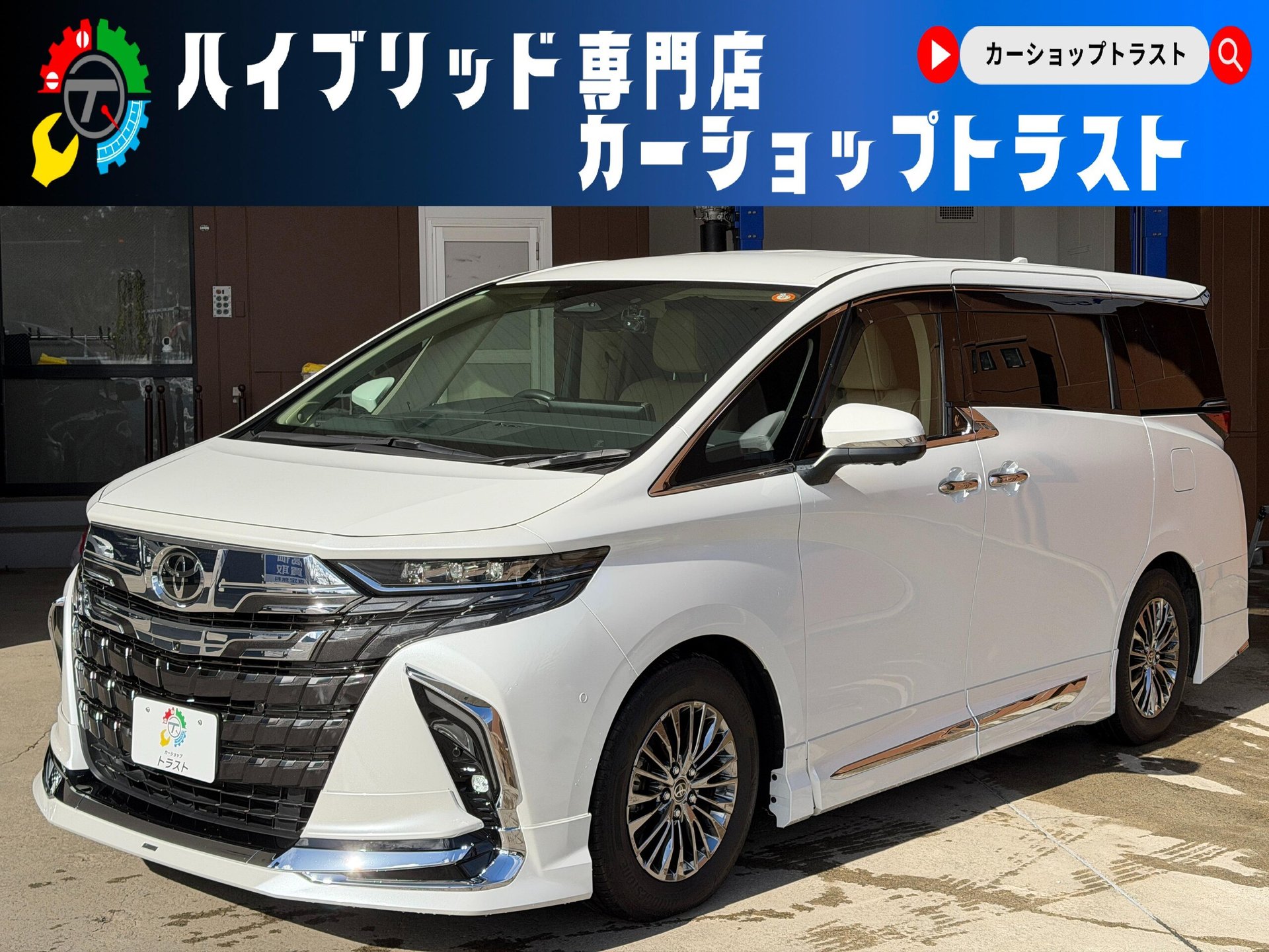 TOYOTA ALPHARD - View 1