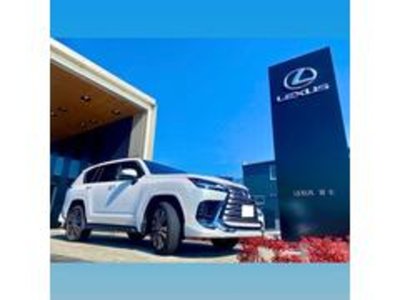 صورة مصغرة 49 لـ 2024 Lexus LM