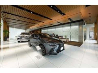صورة مصغرة 46 لـ 2024 Lexus LM
