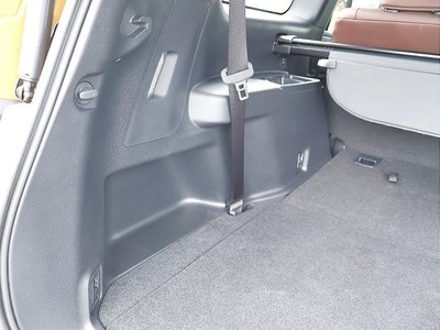 2024 Toyota LAND CRUISER 250 缩略图 19