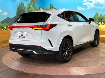 2023 Lexus NX — миниатюра 17