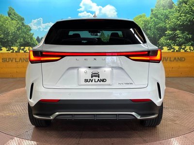 2023 Lexus NX — миниатюра 15