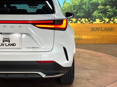 2023 Lexus NX — миниатюра 28
