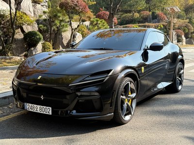FERRARI PUROSANGUE - 1