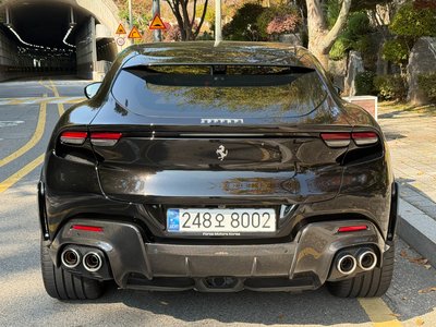 FERRARI PUROSANGUE - 3
