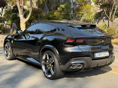 FERRARI PUROSANGUE - 5