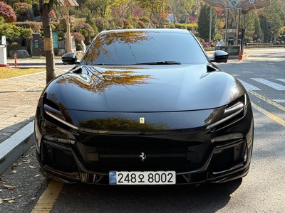 FERRARI PUROSANGUE - 2