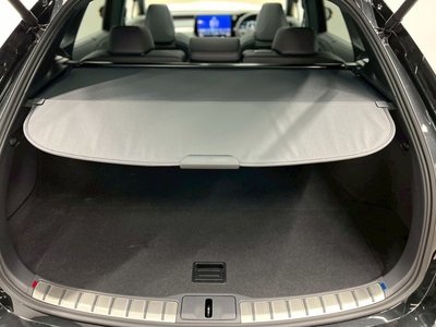 2025 Lexus RX thumbnail 34