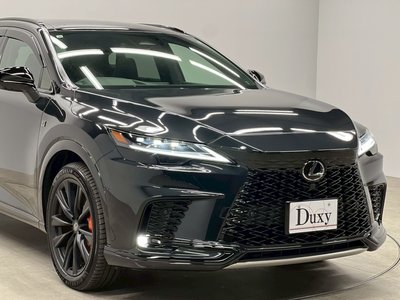 2025 Lexus RX thumbnail 17