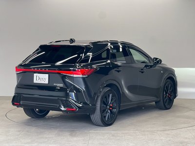 2025 Lexus RX thumbnail 30