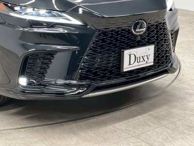2025 Lexus RX thumbnail 21