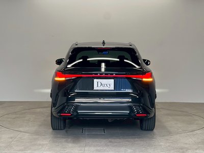 2025 Lexus RX thumbnail 14