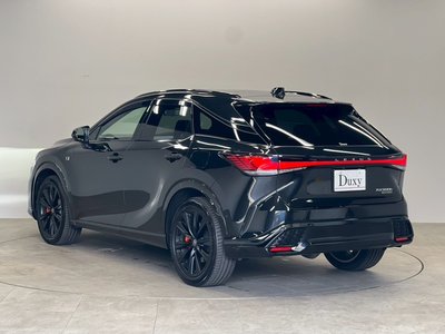 2025 Lexus RX thumbnail 31