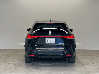 2025 Lexus RX thumbnail 13