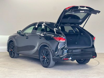 2025 Lexus RX thumbnail 32