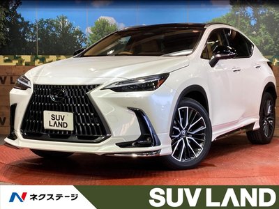 LEXUS NX - 1