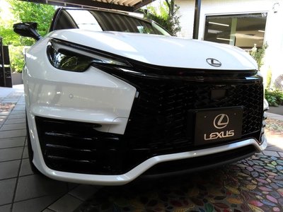 2026 Lexus LBX 照片 5