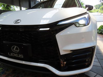 2026 Lexus LBX 照片 11