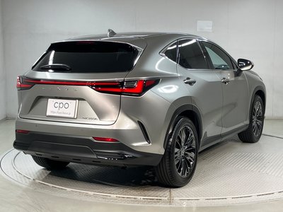 2023 Lexus NX — фото 4