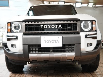 TOYOTA LAND CRUISER 250 - 10