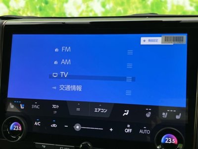 2024 TOYOTA ALPHARD 照片 9