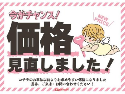 TOYOTA LAND CRUISER PRADO - 4