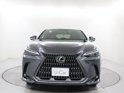 LEXUS NX - 6