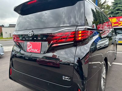 صورة مصغرة 28 لـ 2026 TOYOTA ALPHARD