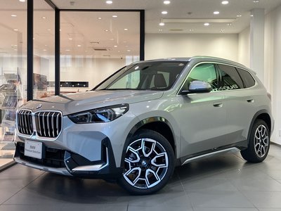 BMW X1 - 1