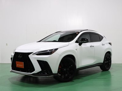 LEXUS NX - 1