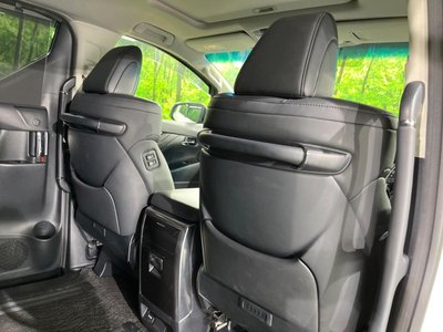 2023 Toyota ALPHARD 缩略图 52