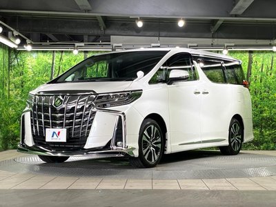2023 Toyota ALPHARD 缩略图 19