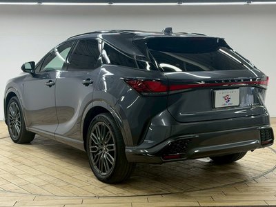 2023 Lexus RX 缩略图 72