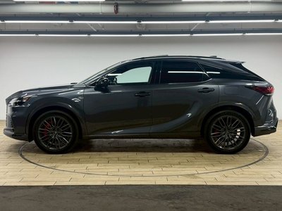 2023 Lexus RX 缩略图 73