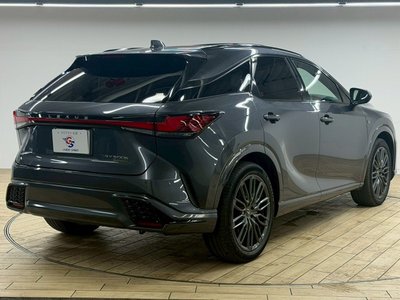 2023 Lexus RX 缩略图 77