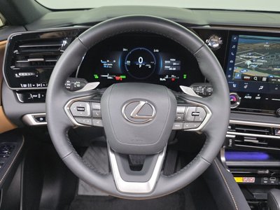 2025 Lexus RX 缩略图 20