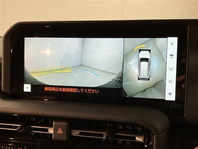 TOYOTA LAND CRUISER - 10