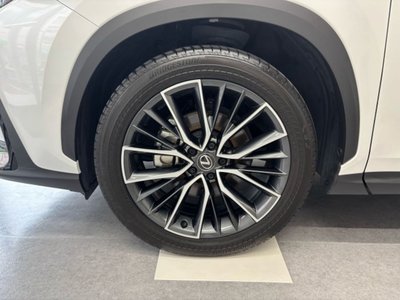 2023 Lexus NX 缩略图 63