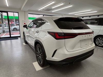 2023 Lexus NX 照片 3