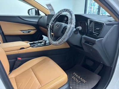 2023 Lexus NX 照片 4