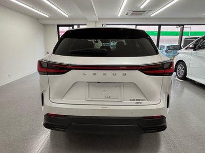 2023 Lexus NX 缩略图 19